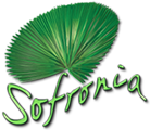 Accueil logo sofronia